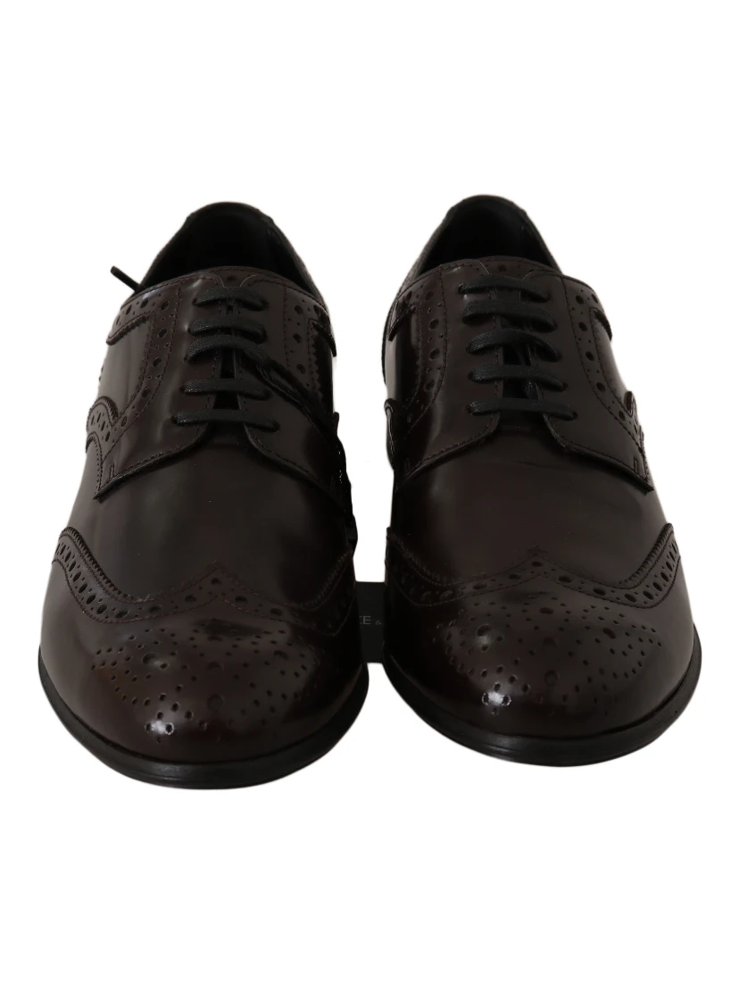Brown Leather Broques Oxford Wingtip Shoes
