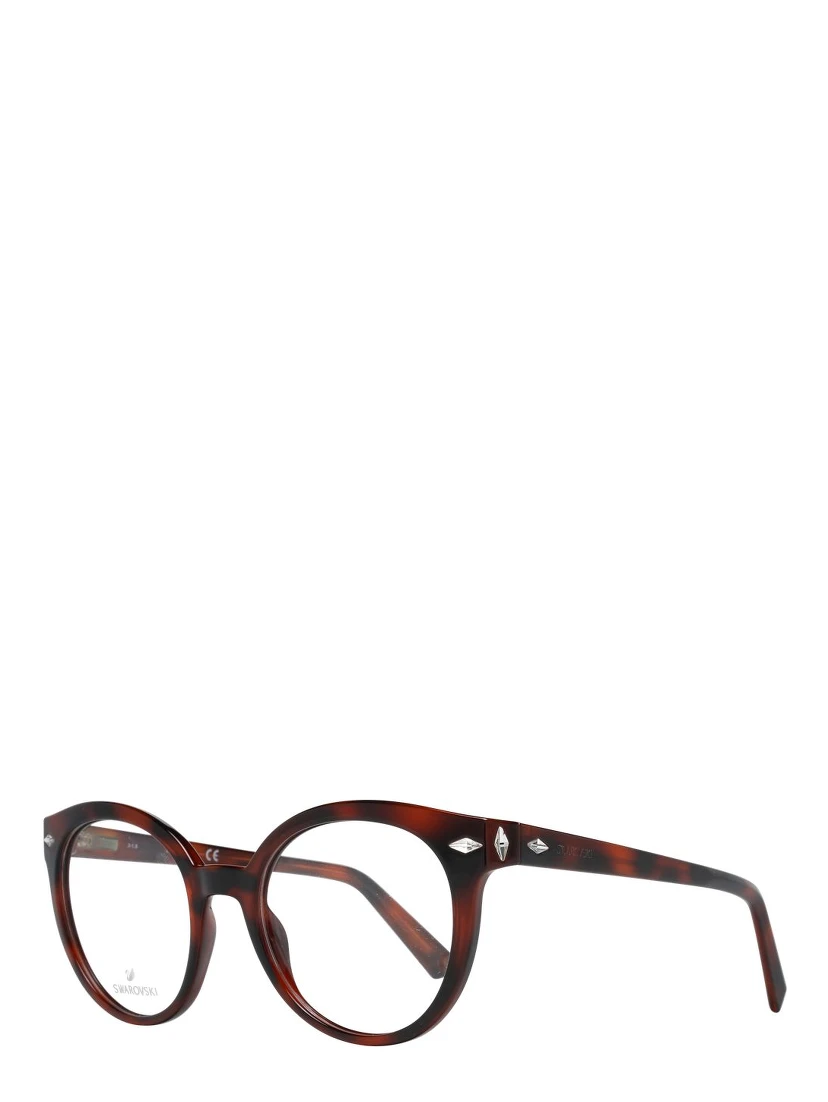 Brown Plastic Glasses (Frames)