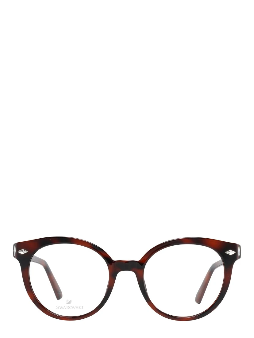 Brown Plastic Glasses (Frames)