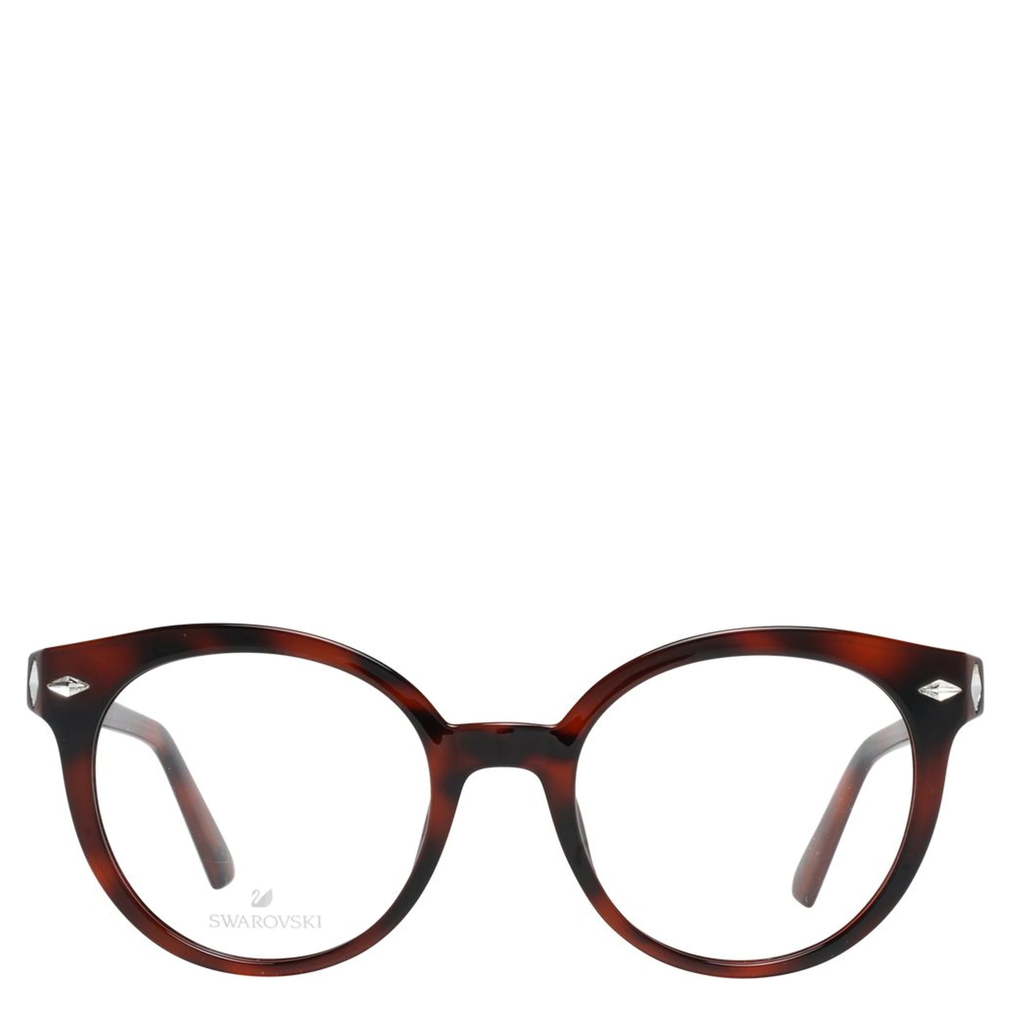 Brown Plastic Glasses (Frames)