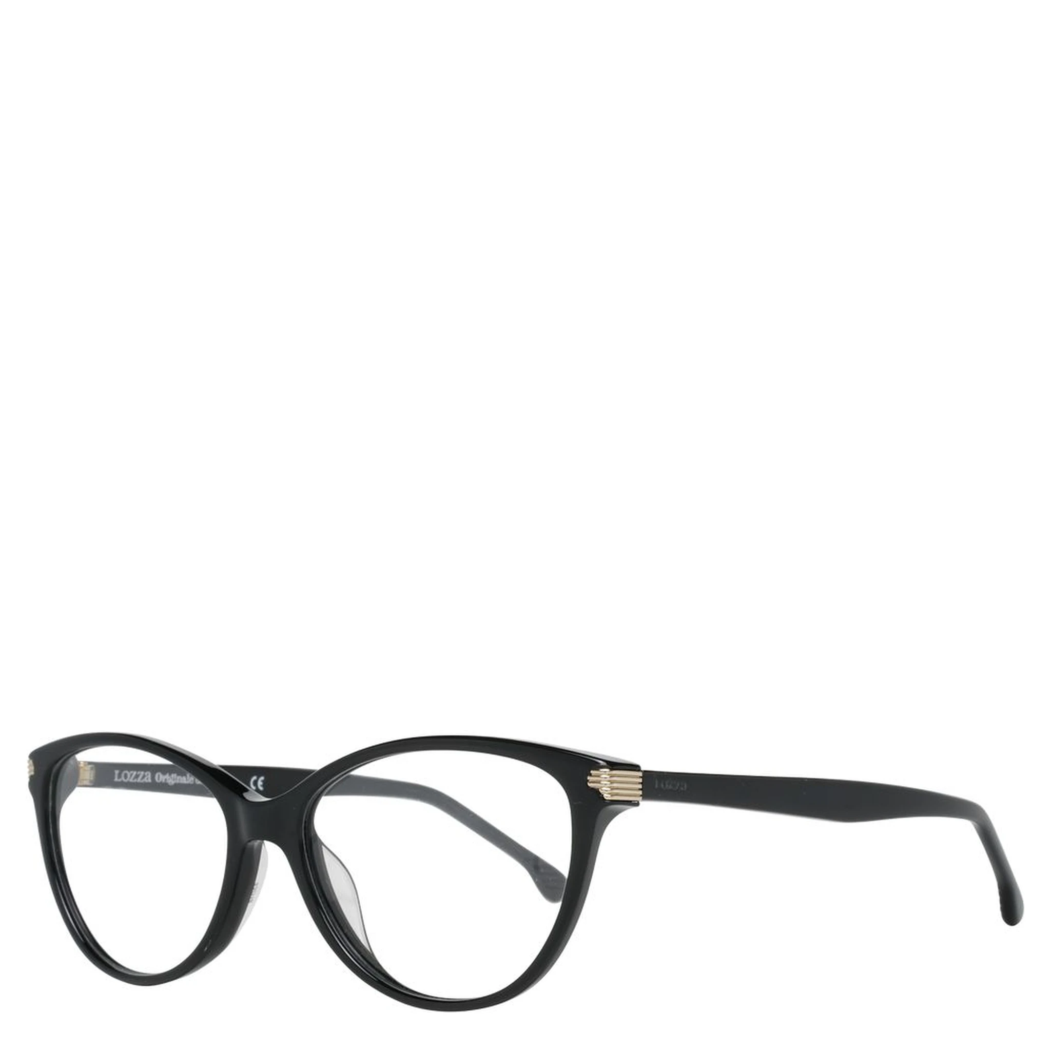 Black Plastic Glasses (Frames)