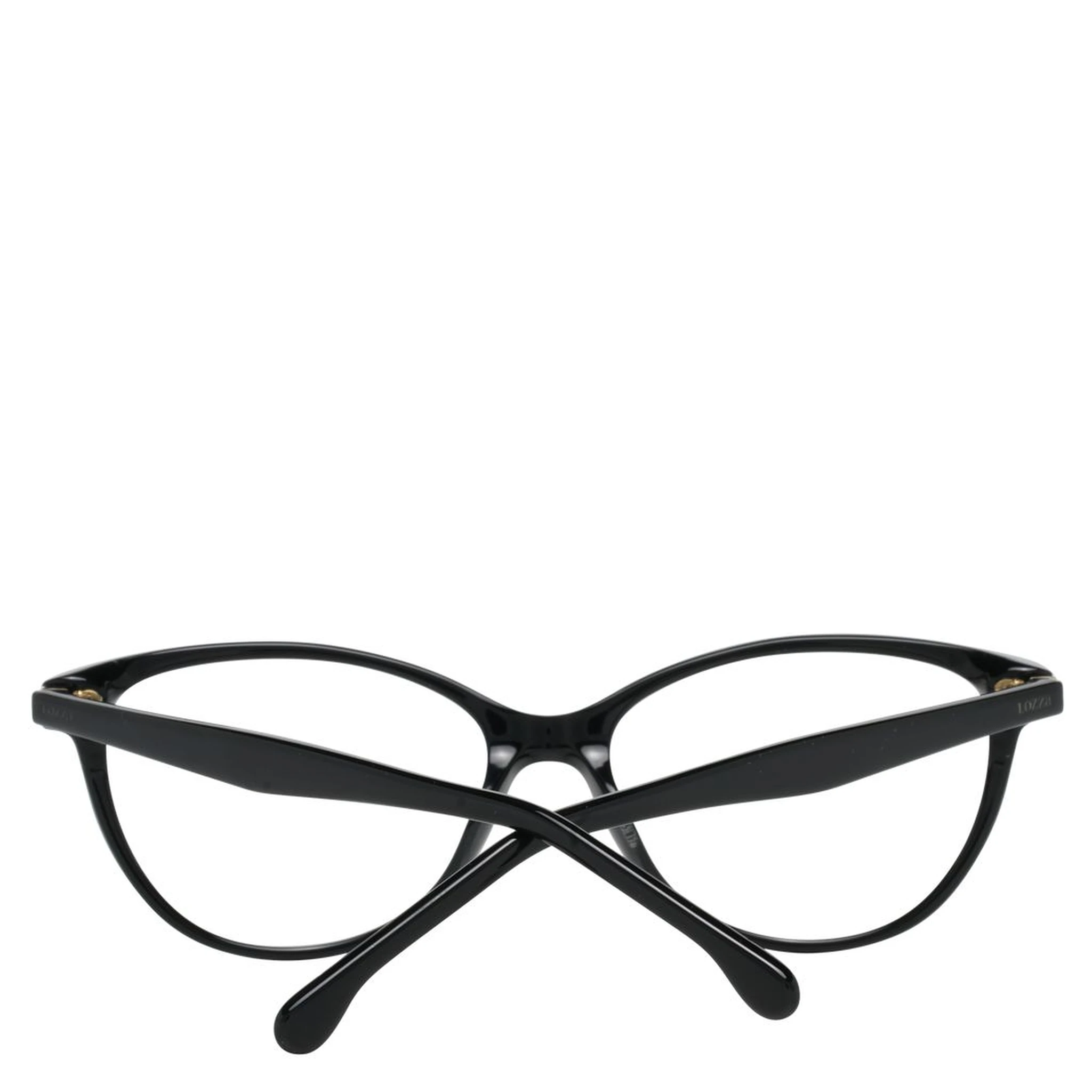 Black Plastic Glasses (Frames)
