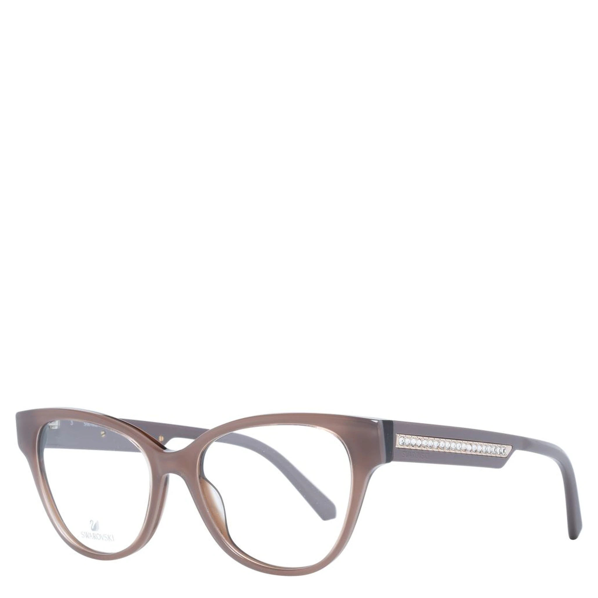 Purple Plastic Glasses (Frames)