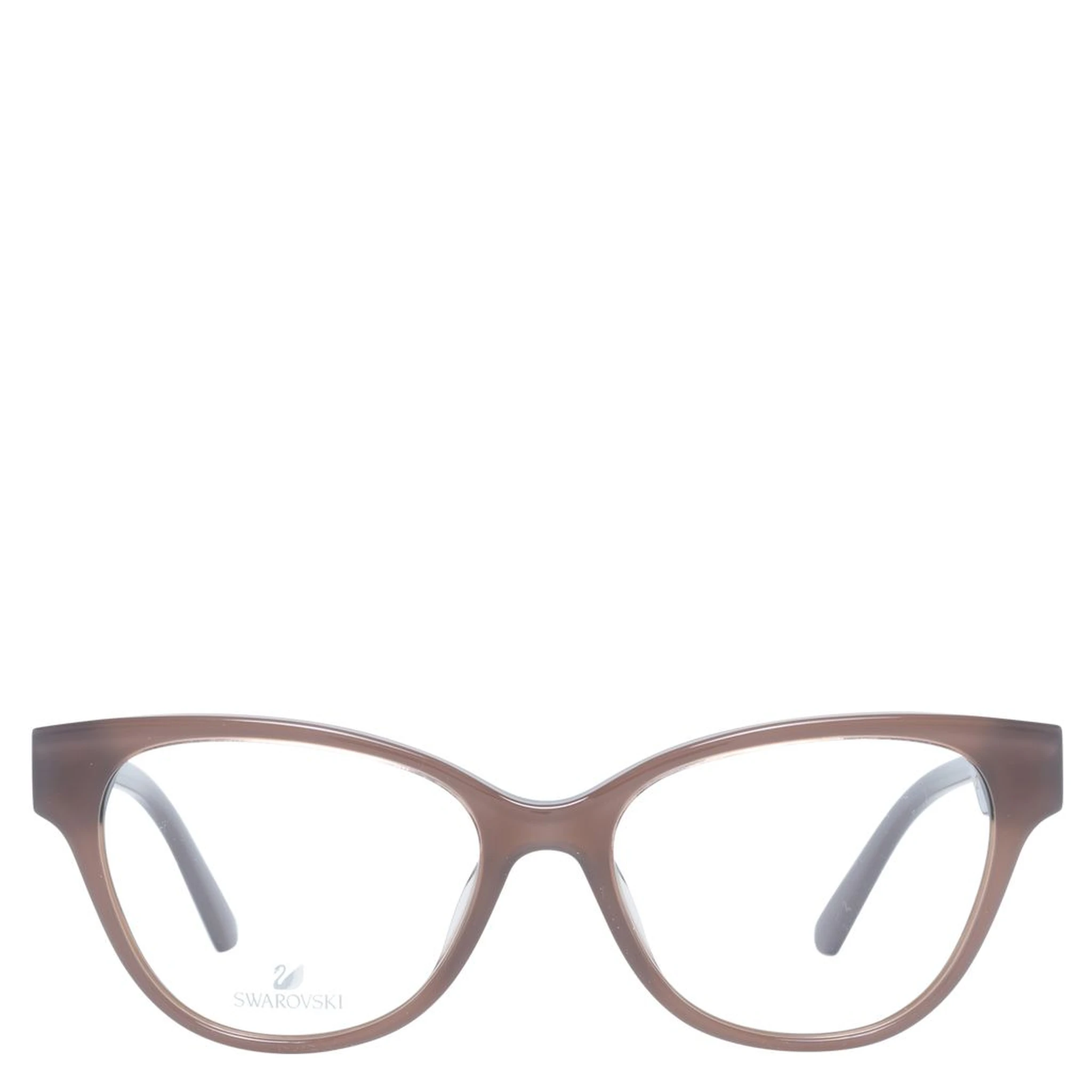 Purple Plastic Glasses (Frames)
