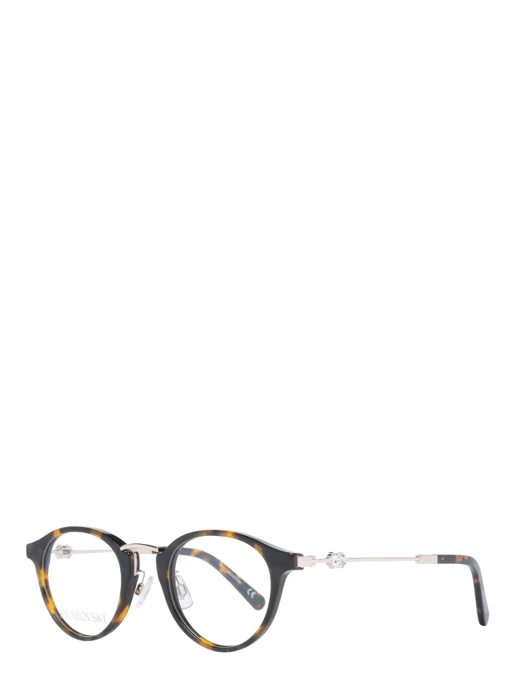Brown Plastic Glasses (Frames)