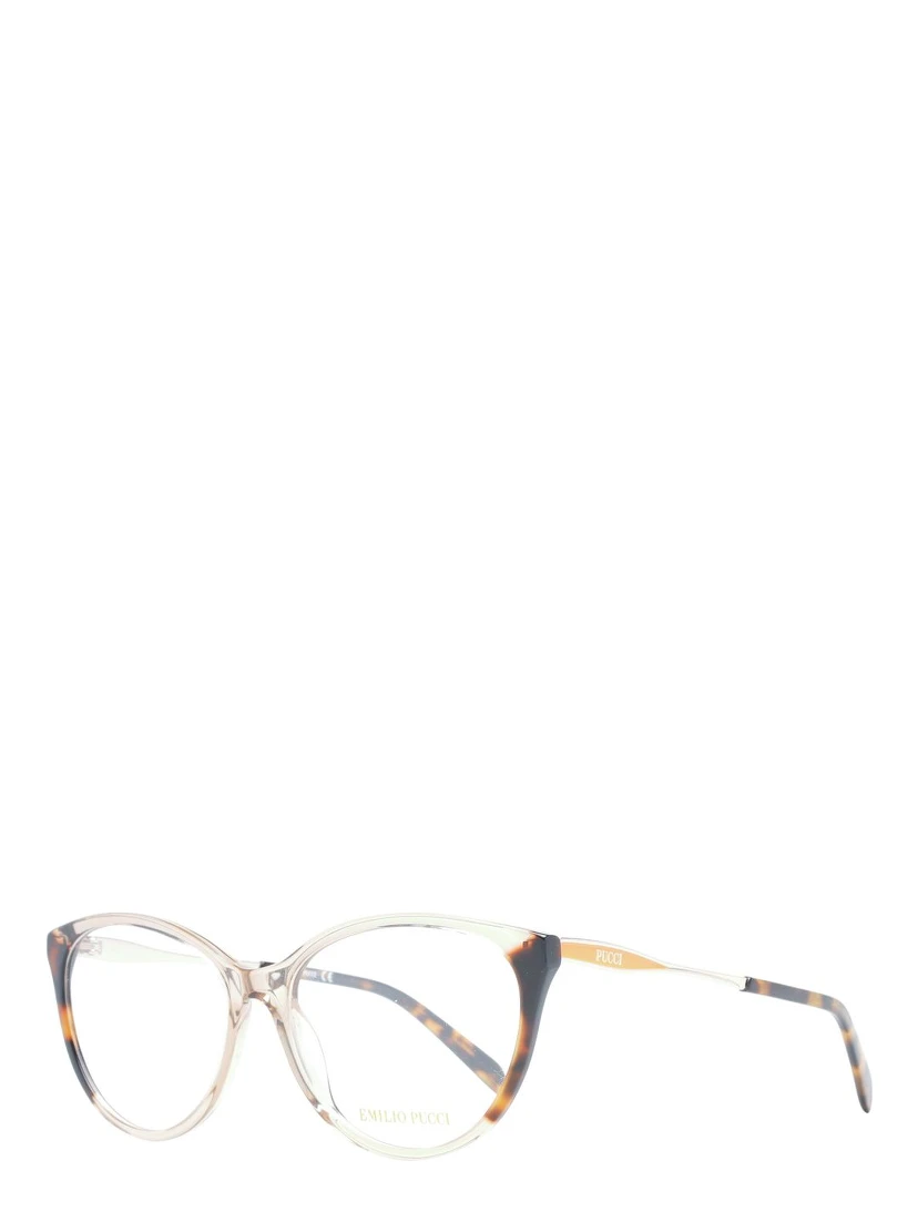 Brown Plastic Glasses (Frames)