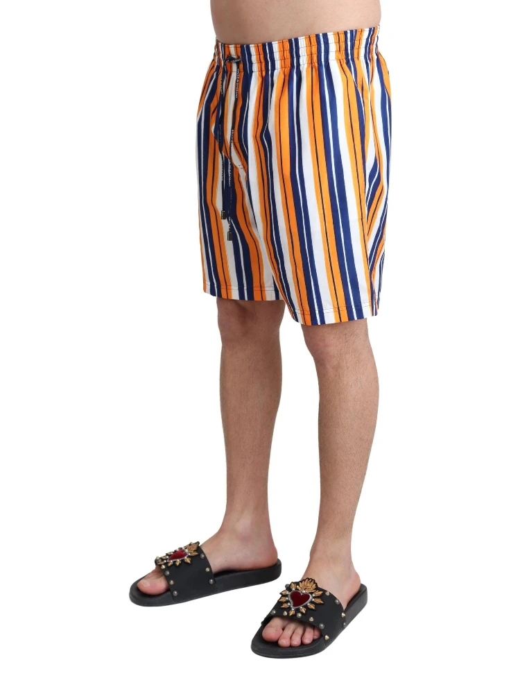 Multicolor Striped Beachwear Swimshorts alternative
