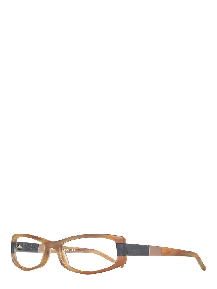 Brown Plastic Glasses (Frames)