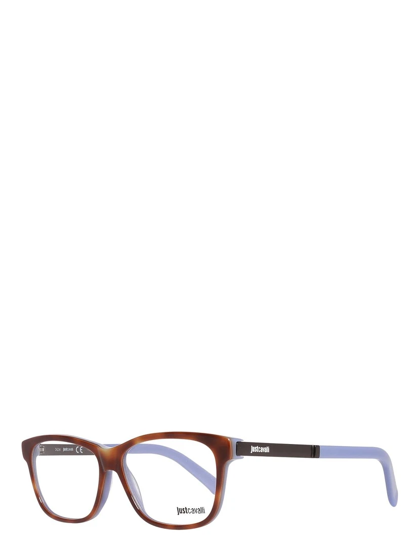 Brown Plastic Glasses (Frames)