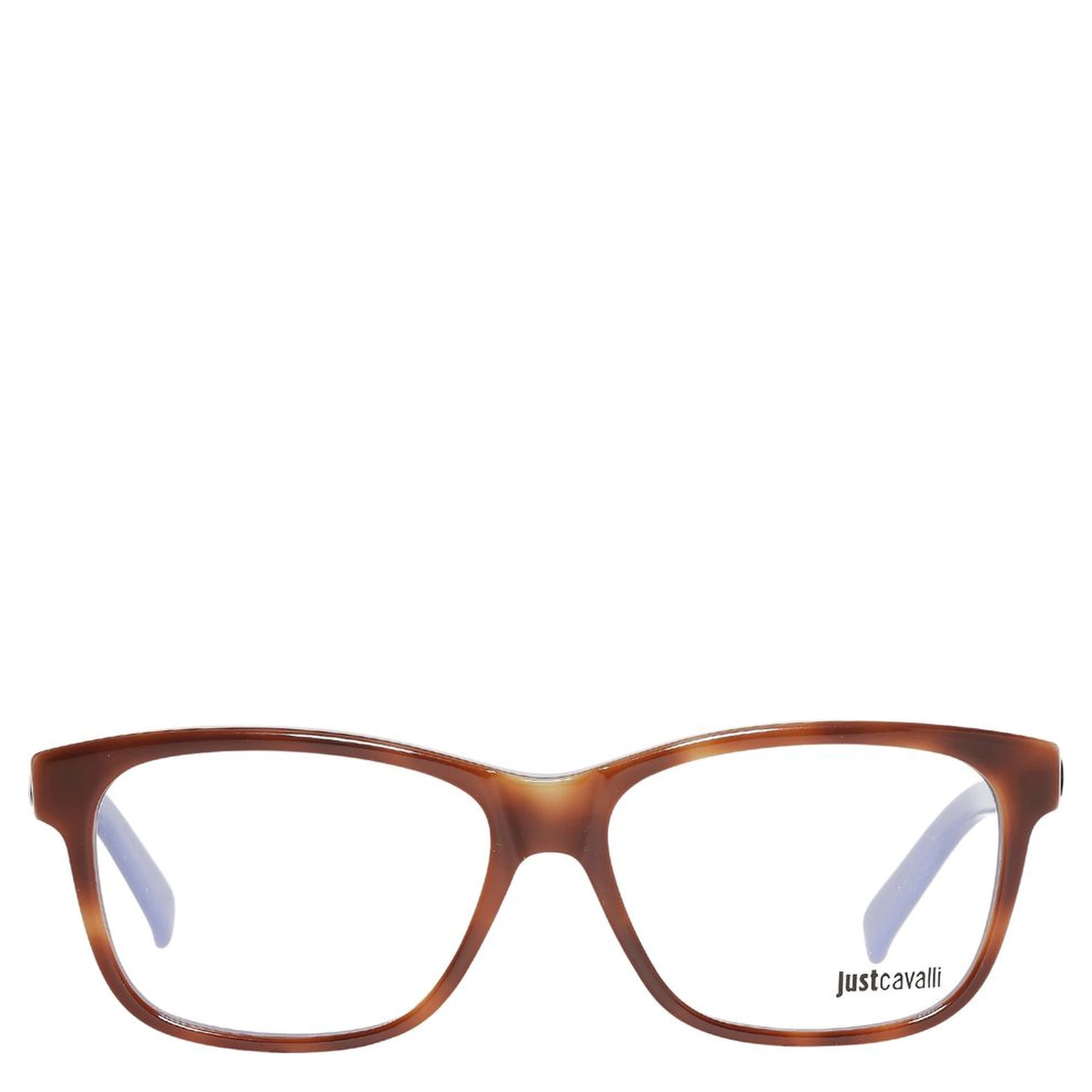 Brown Plastic Glasses (Frames)