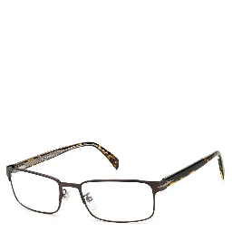 Brown Metal Glasses (Frames)