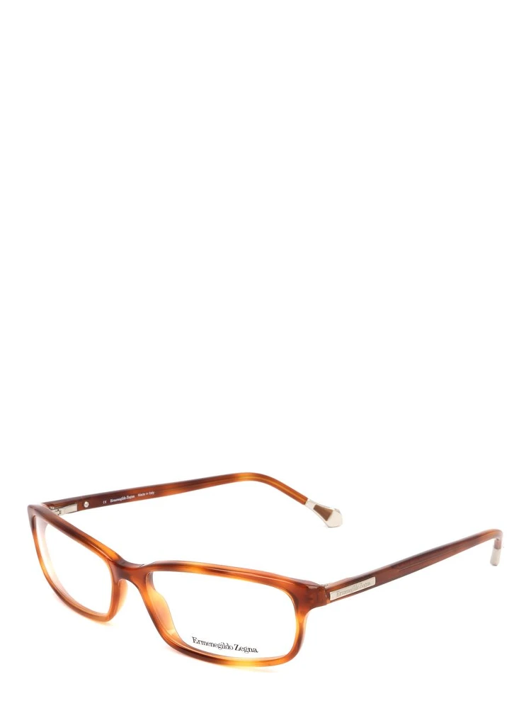 Brown Plastic Glasses (Frames) alternative