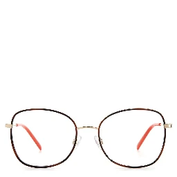 Gold Metal Glasses (Frames)
