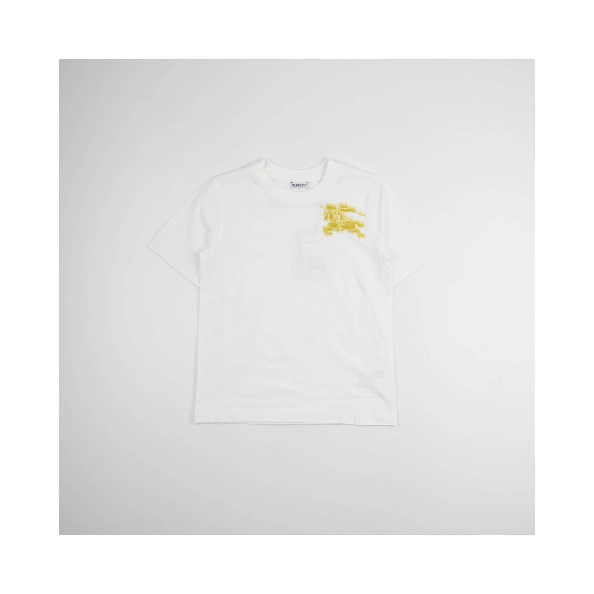T-shirts In White
