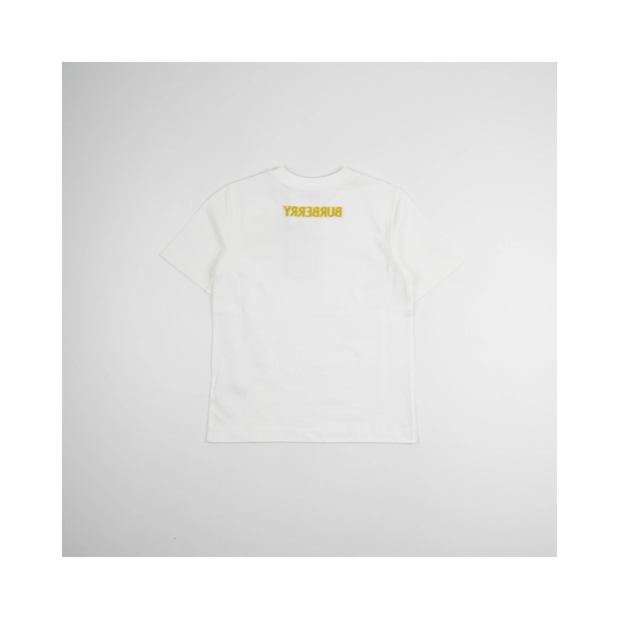 T-shirts In White