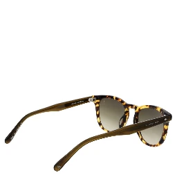 Brown Plastic Sunglasses