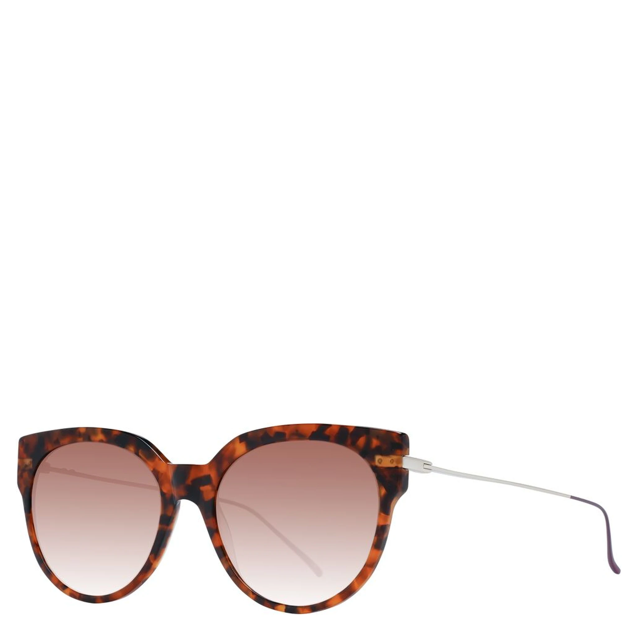 Brown Acetate Sunglasses
