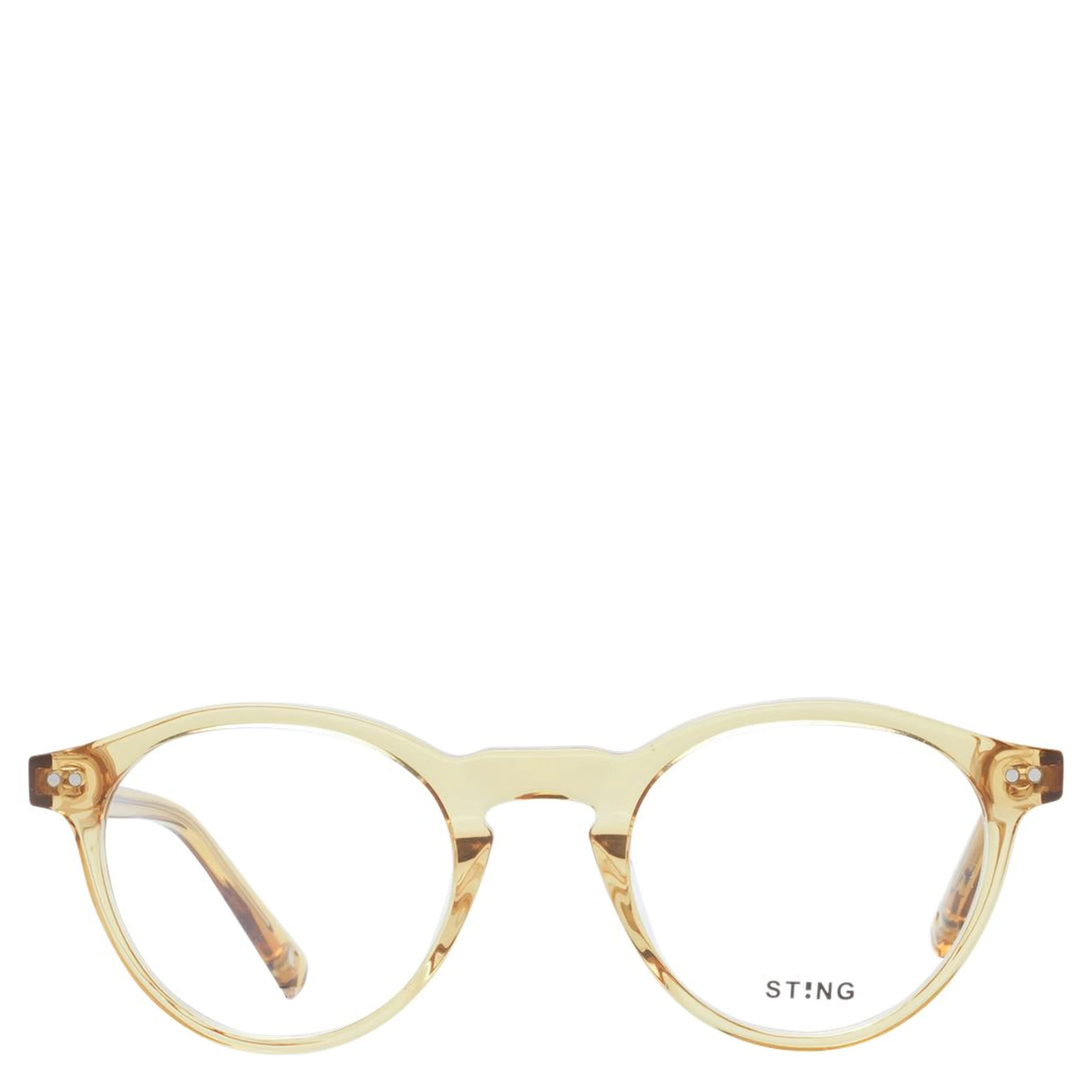 Brown Acetate & Plastic Glasses (Frames)