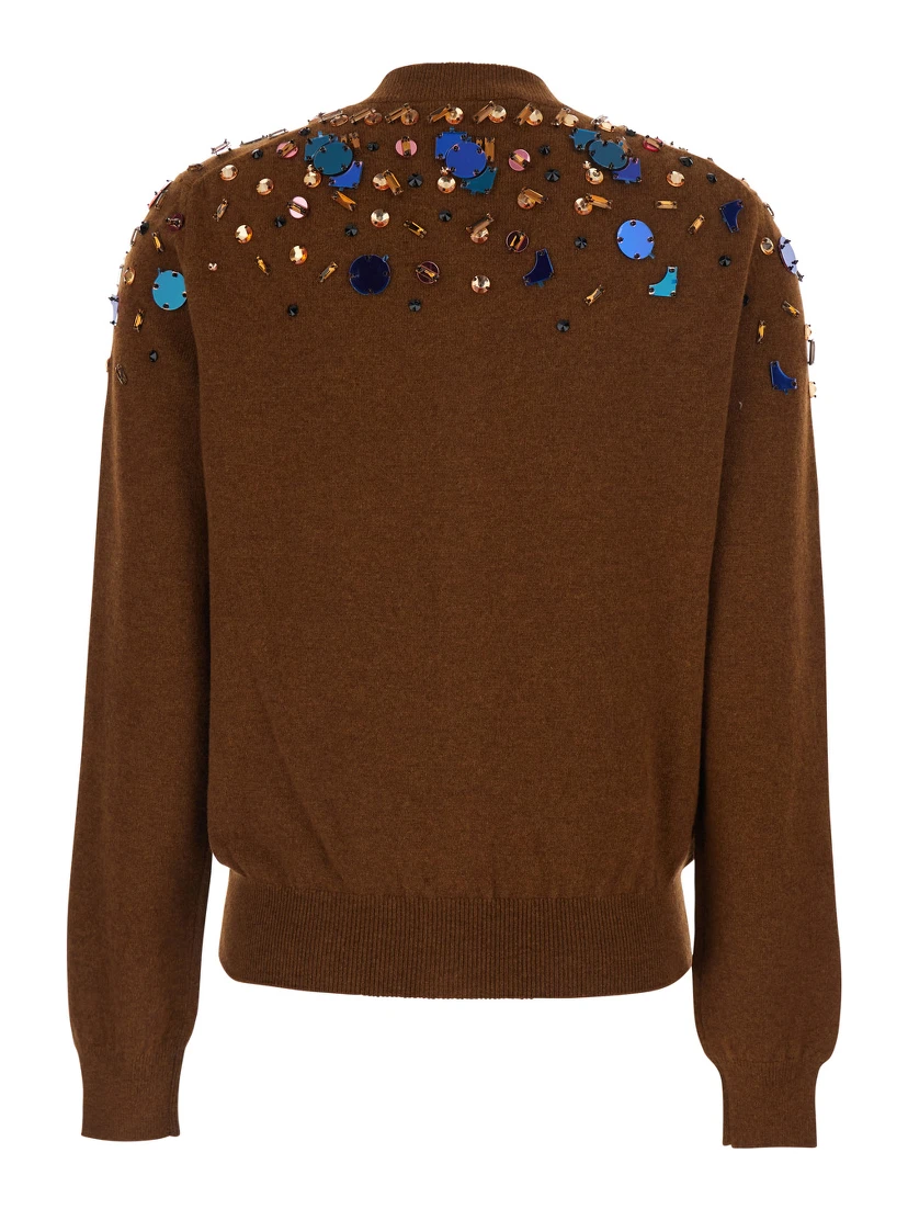 Brown Crewneck Cardigan with Rhinestone Embroidery in Wool and Cashmere Woman