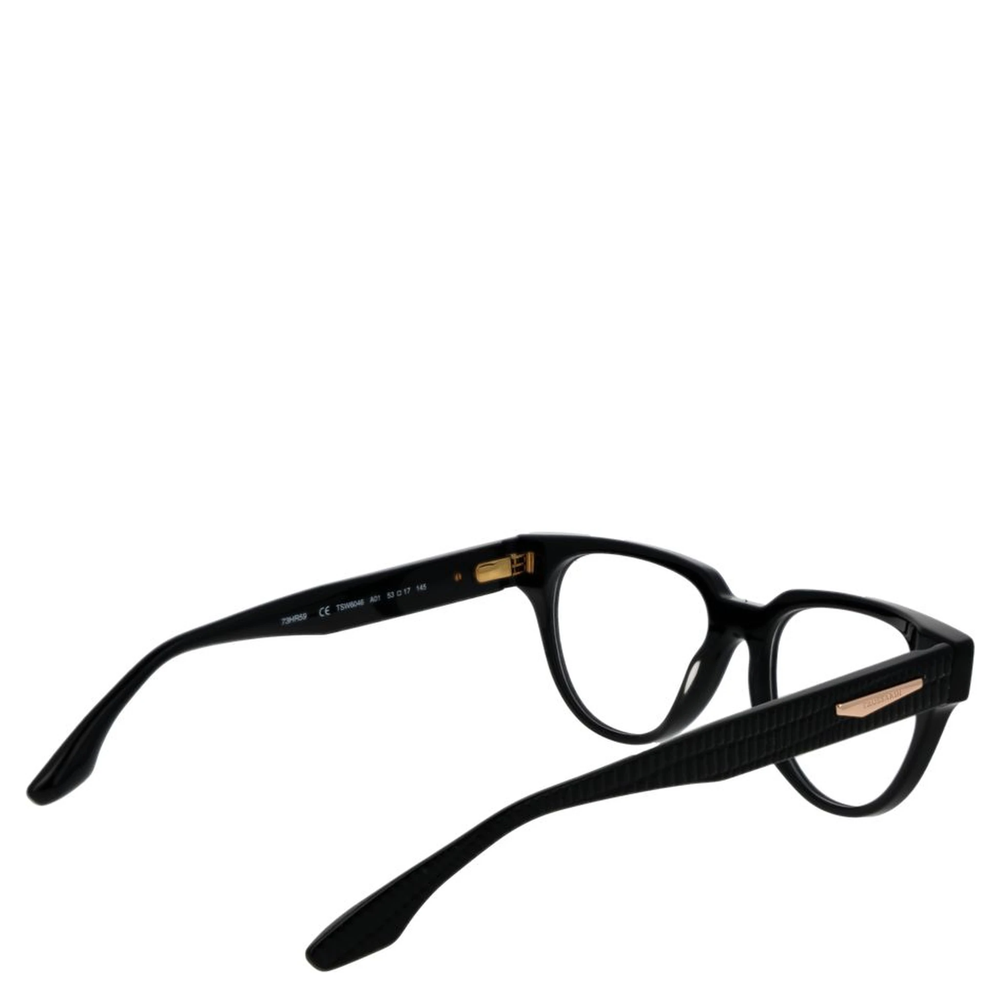 Black Acetate Glasses (Frames)