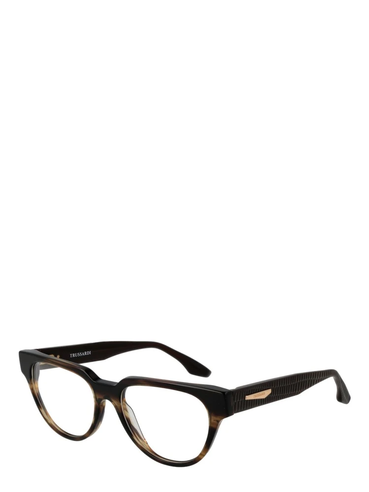 Brown Acetate Glasses (Frames)