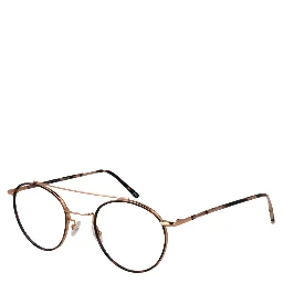 Rose Gold Metal Glasses (Frames)