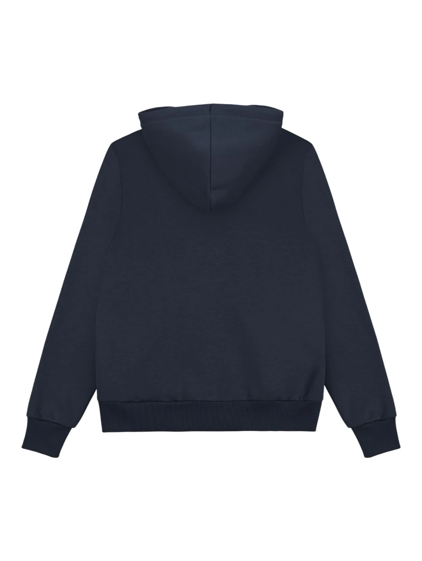 COLMAR Sweaters Blue
