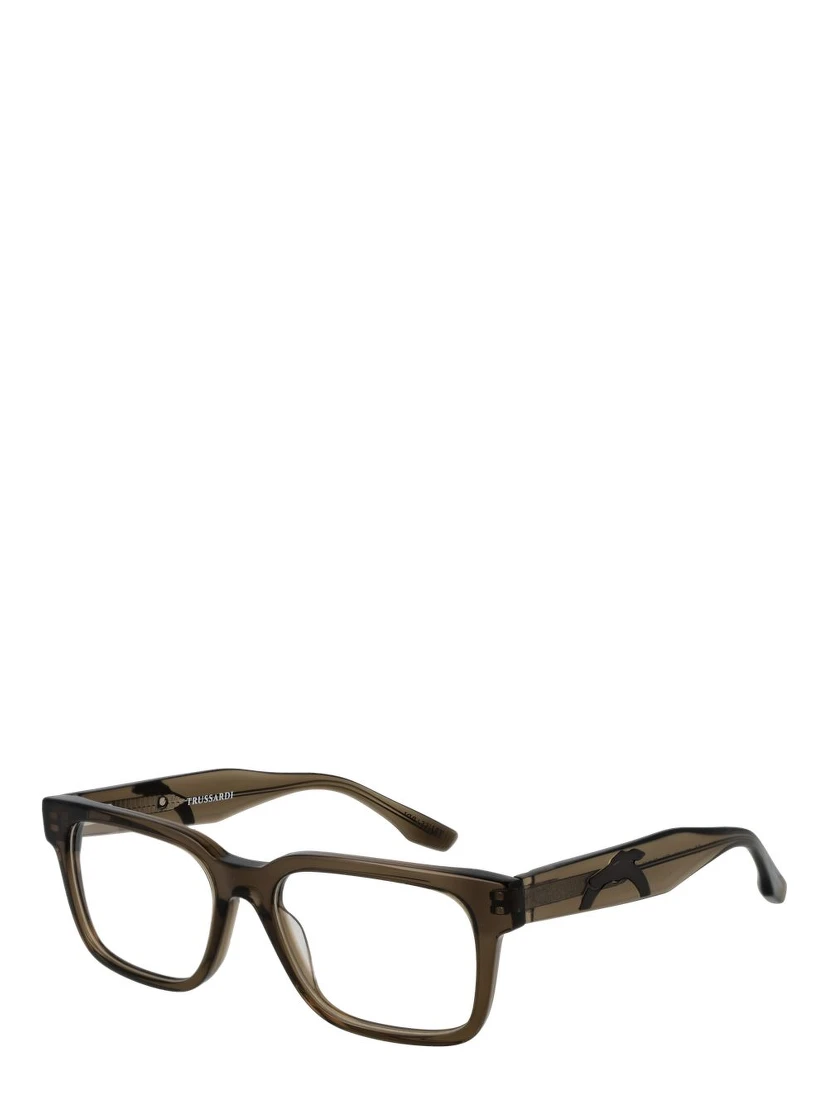 Brown Acetate Glasses (Frames)