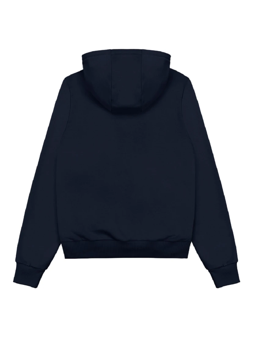 COLMAR Sweaters Blue