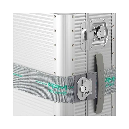 BUTTERFLY ELASTIC BELT S