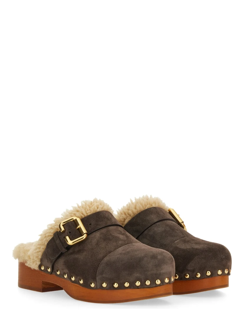 MULE "JEANNETTE"