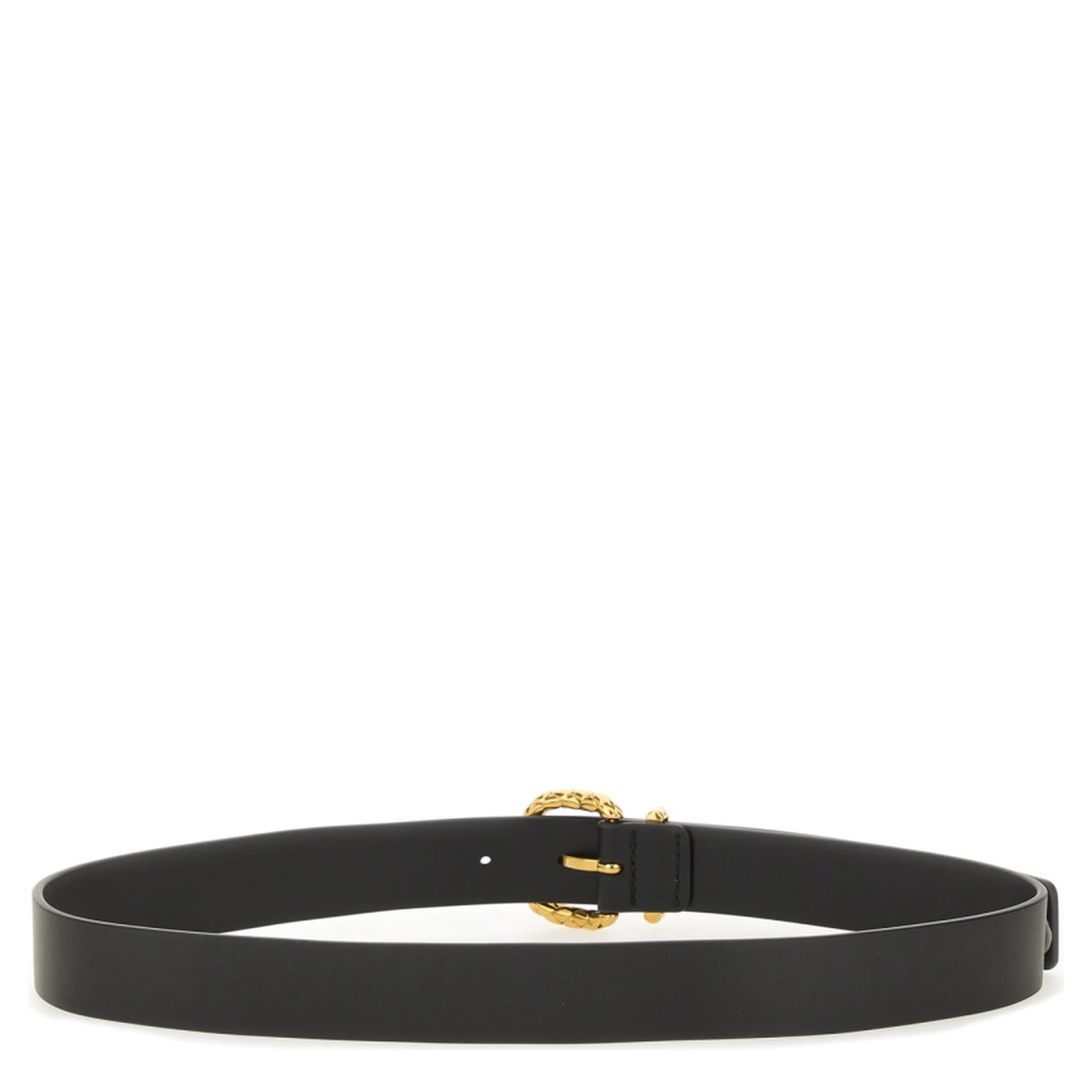 COAXIAL BELT WITH LOOP