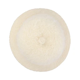 KANGOL Hats White