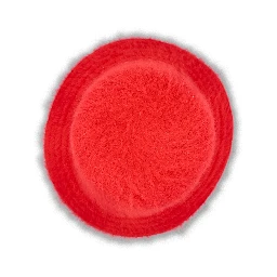 KANGOL Hats