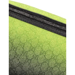 Large Chroma belt bag