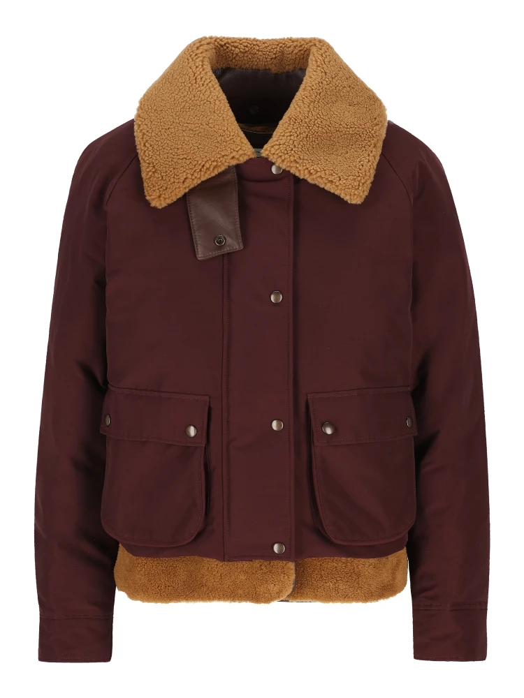 Loewe Jackets Purple