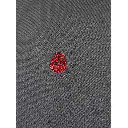Alexander McQueen T-shirts and Polos Black