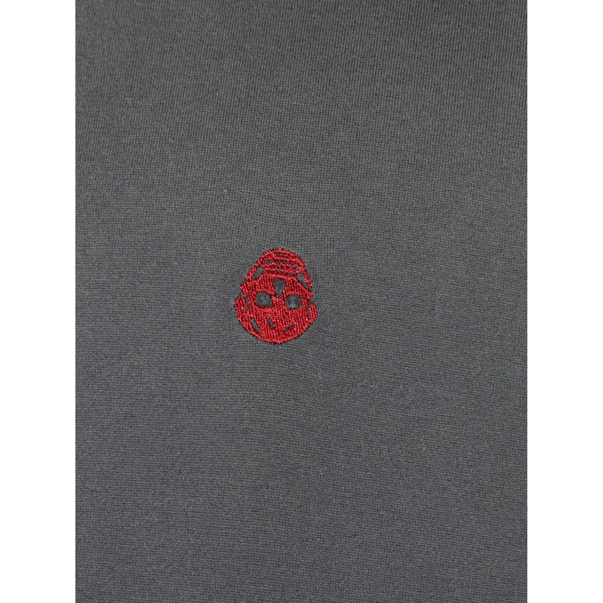 Alexander McQueen T-shirts and Polos Black