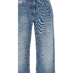 THE GARMENT Jeans