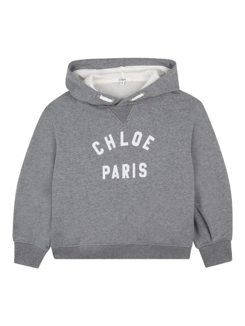 Chloè Sweaters Grey