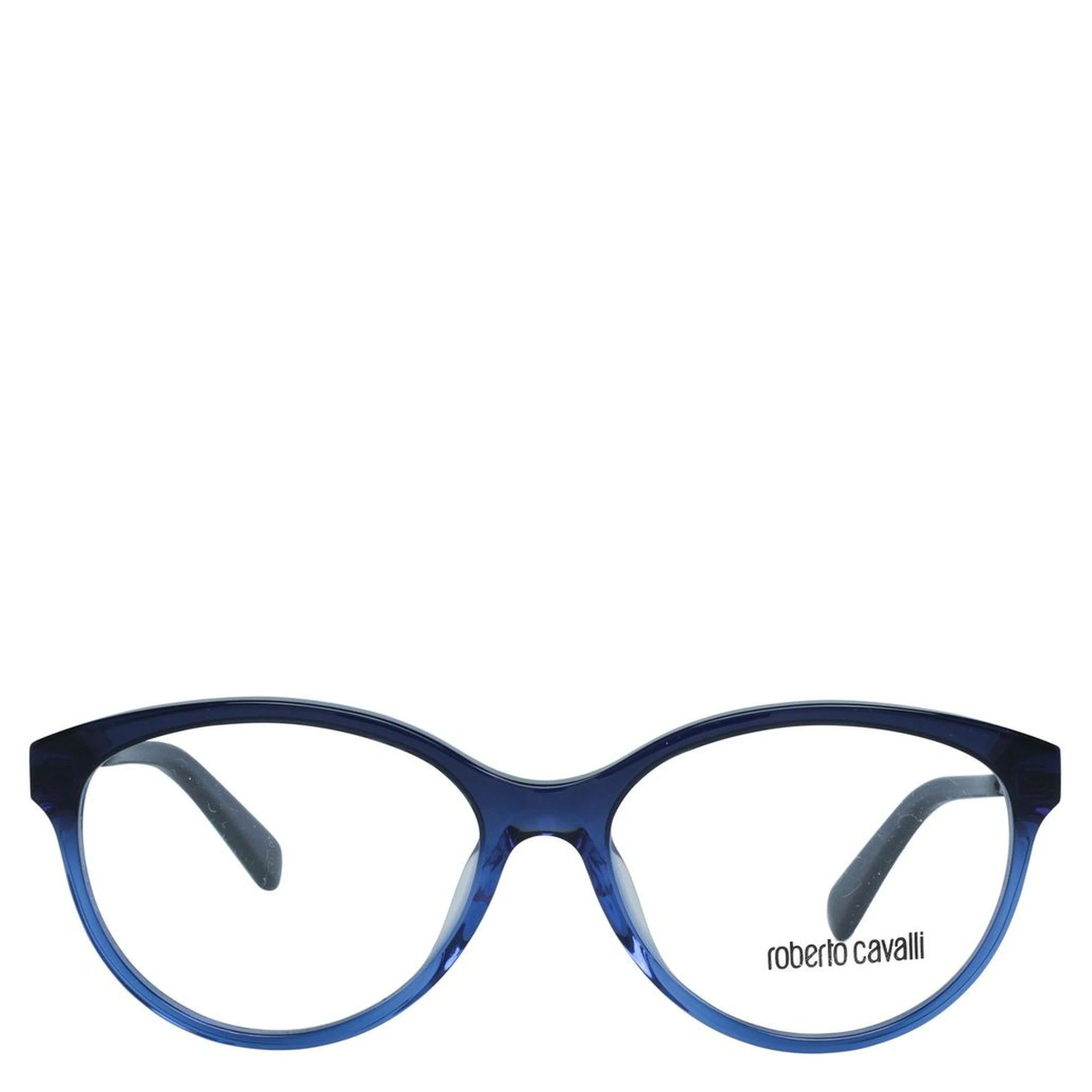 Blue Metal Glasses (Frames)