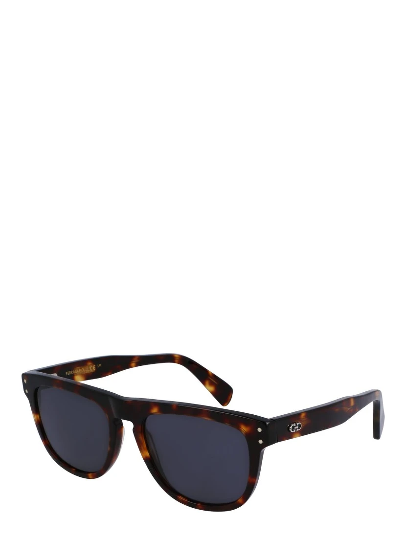 Brown Acetate Sunglasses