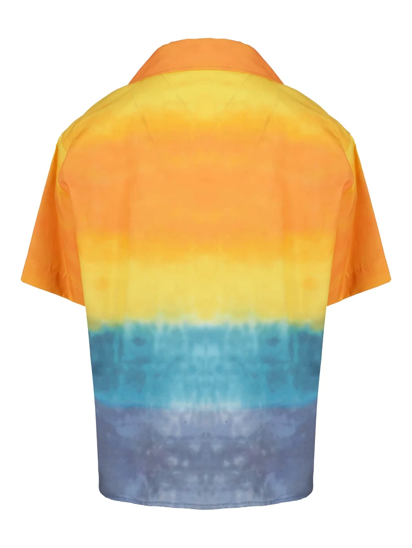 MS029531|092