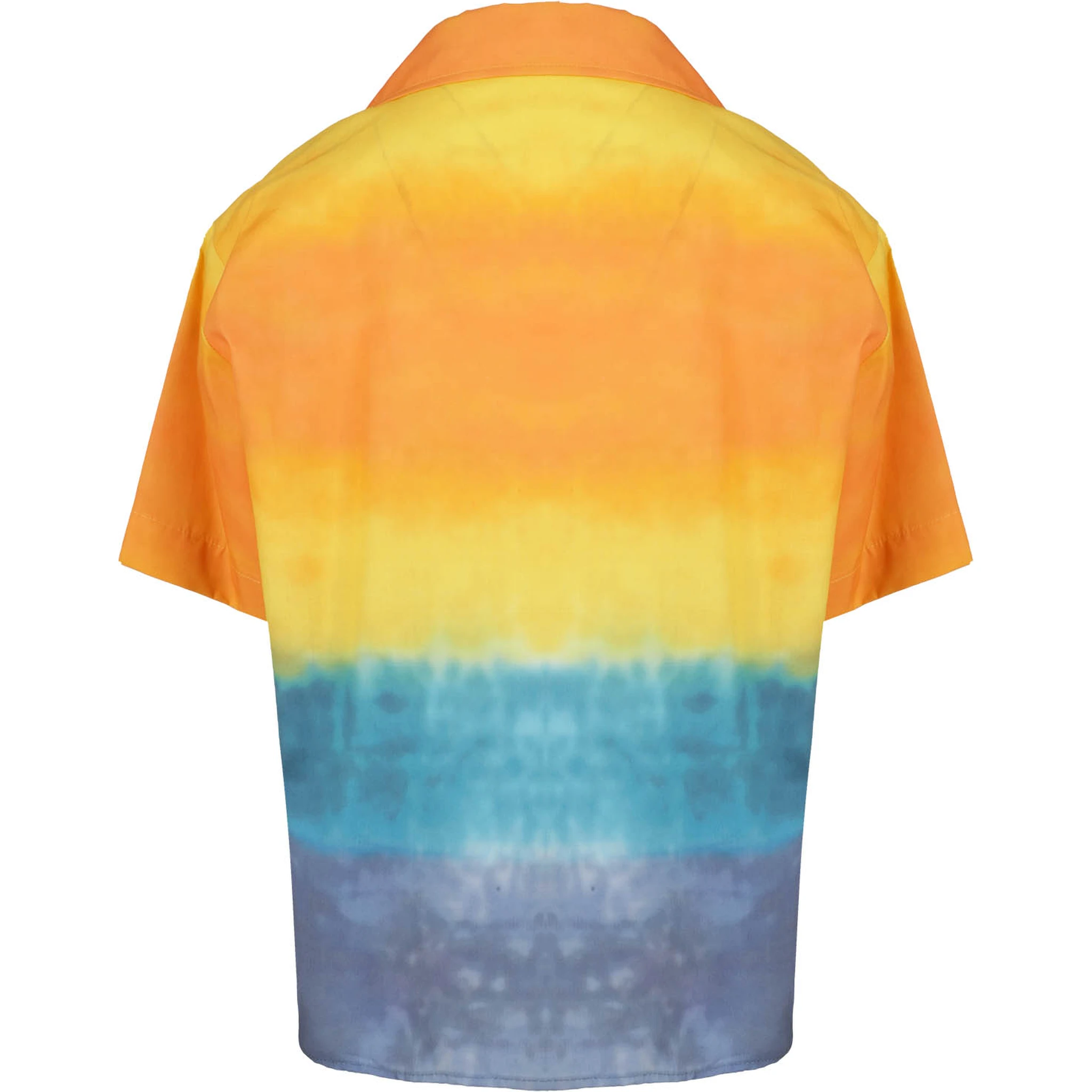 MS029531|092