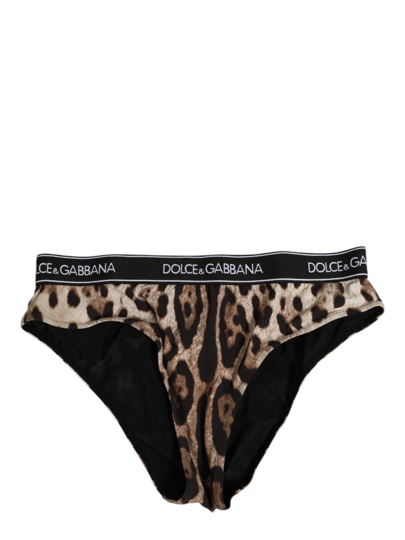 Brown Leopard Nylon High Waist Panty Underwear
