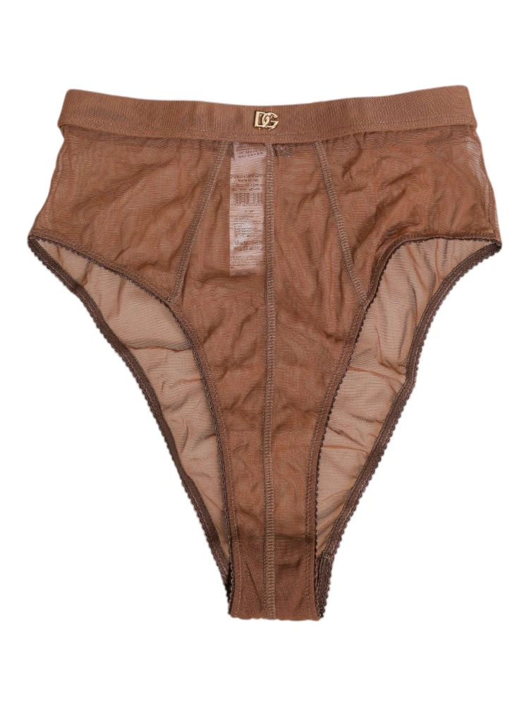 Brown Sheer Mesh High Waist Briefs Underwear alternative