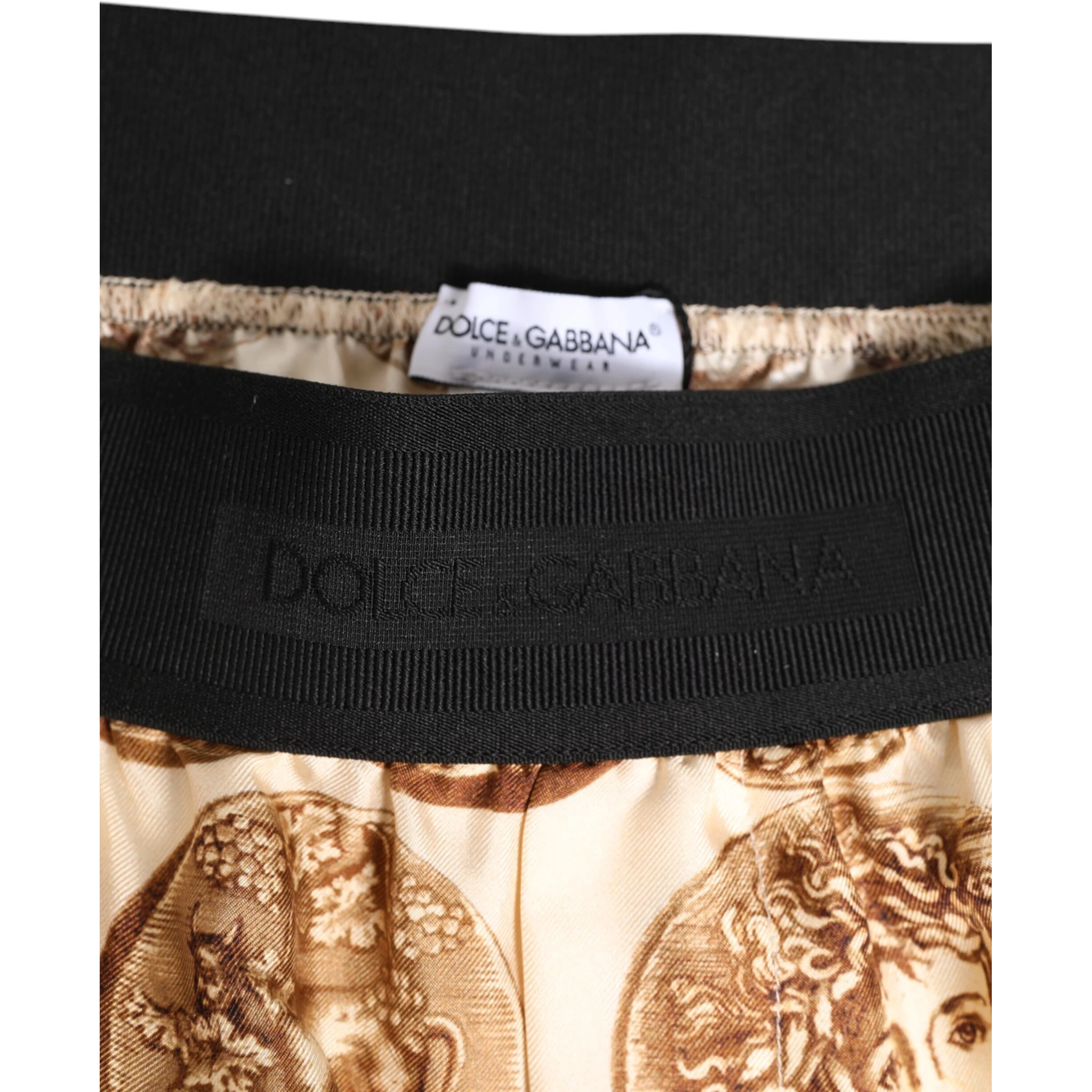 Brown Ancient Coin Print Silk Shorts Swimwear