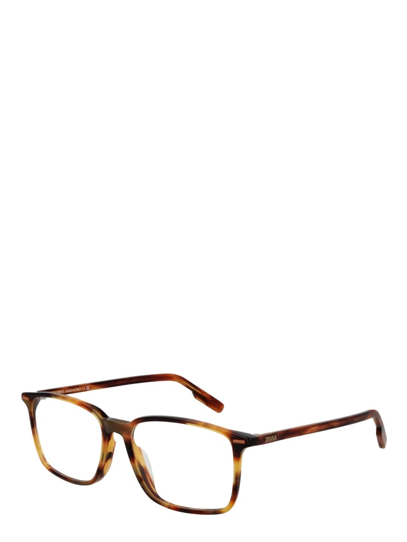 Brown Acetate Glasses (Frames)