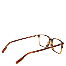 Brown Acetate Glasses (Frames)