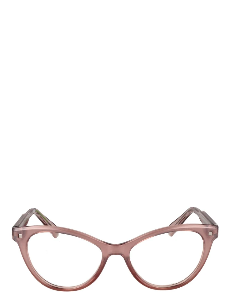 Pink Cellulose Propionate Glasses (Frames) alternative